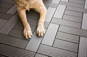 best-flooring-for-kitchens-with-pets